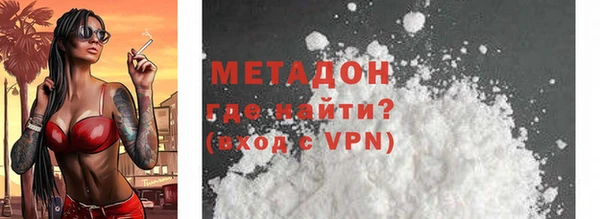 шишки Арсеньев