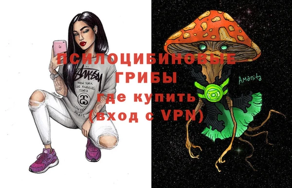 MESCALINE Аркадак