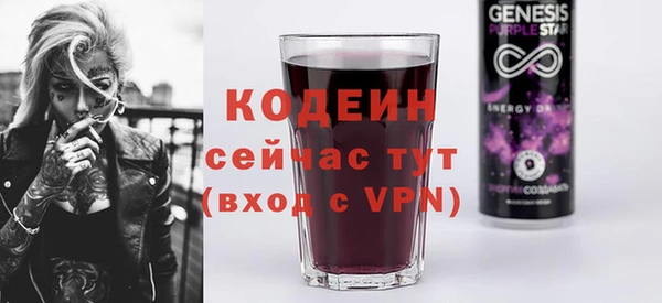 шишки Арсеньев