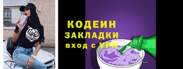 шишки Арсеньев