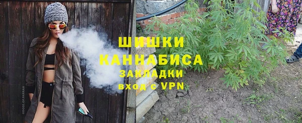шишки Арсеньев