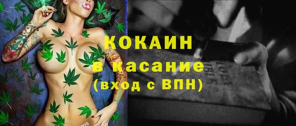 шишки Арсеньев