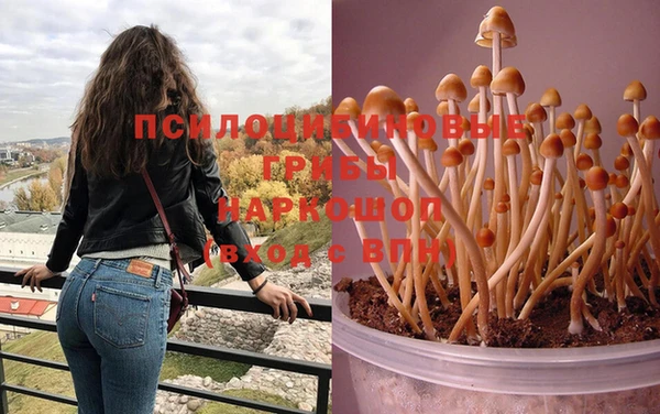 MESCALINE Аркадак