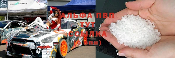 шишки Арсеньев