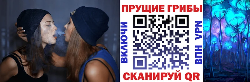 Галлюциногенные грибы прущие грибы Цивильск